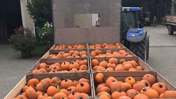 Zürbiserei Zehetbauer