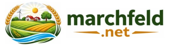 Marchfeld.net * Informieren / Kommunizieren / Mitteilen *